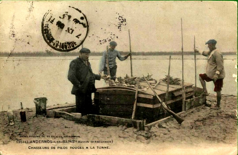 Andernos-les-Bains - Chasseurs de pieds rouges