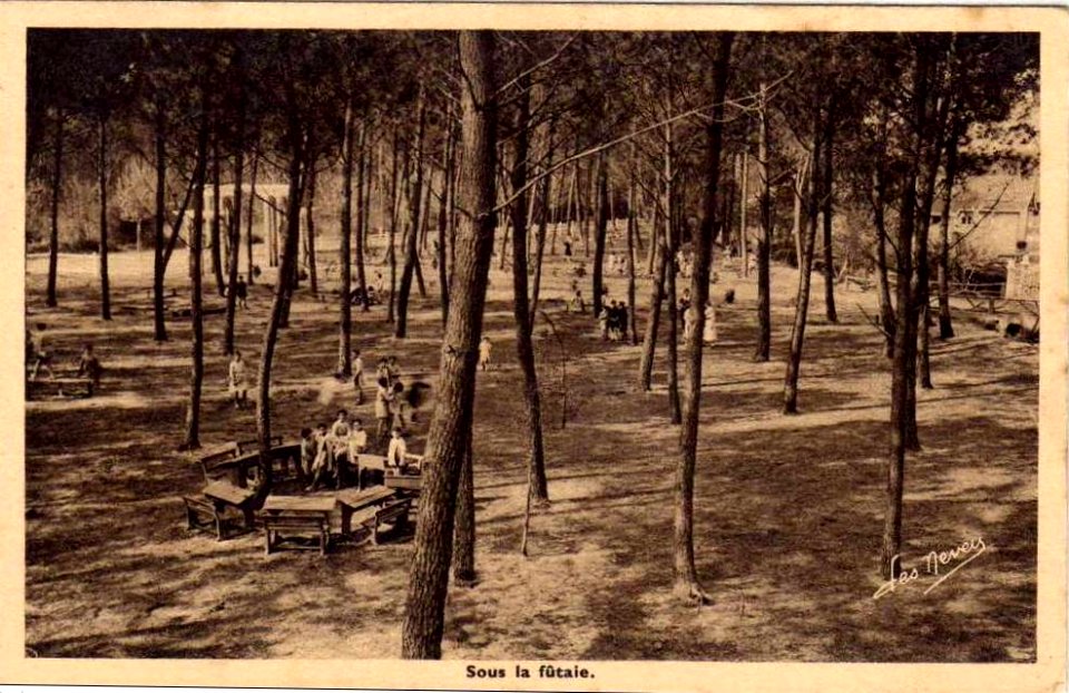 Andernos-les-Bains - Ecole de Plein Air 5