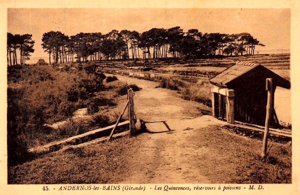 Andernos-les-Bains - Les Quinconces 4