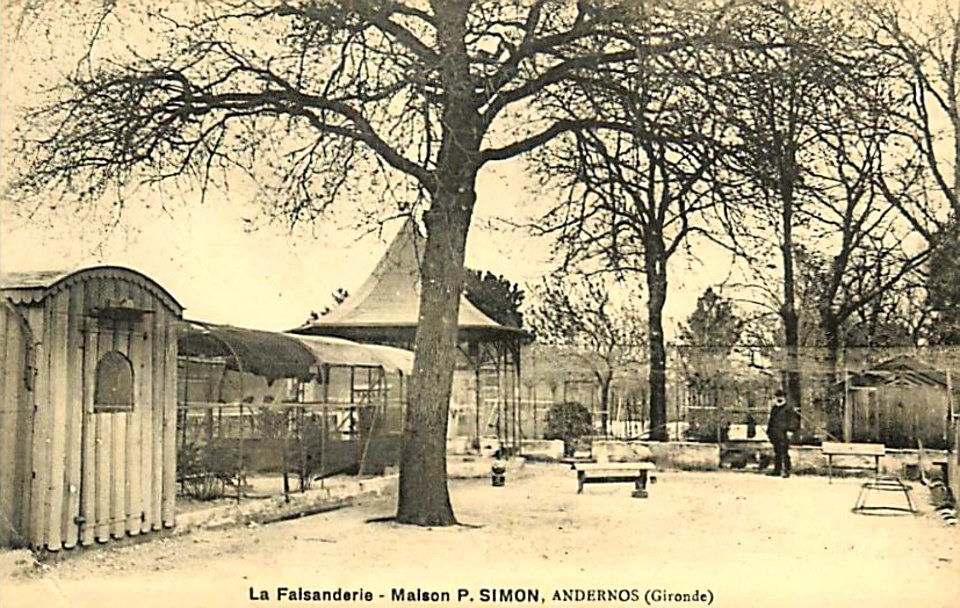 Andernos-les-Bains - La Faisanderie