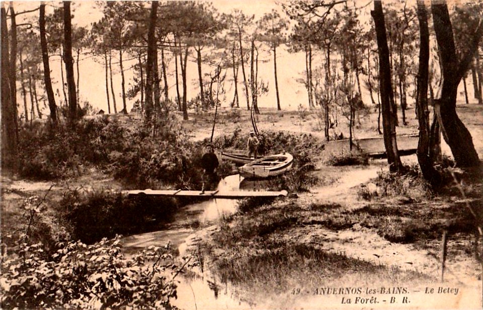Andernos-les-Bains - Le Betey