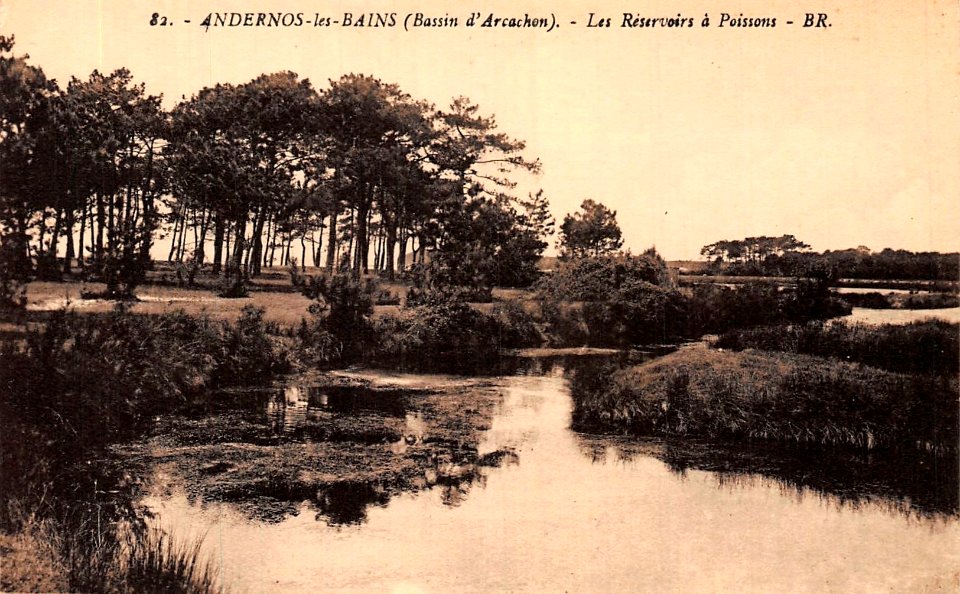 Andernos-les-Bains - Réservoirs à poissons 1