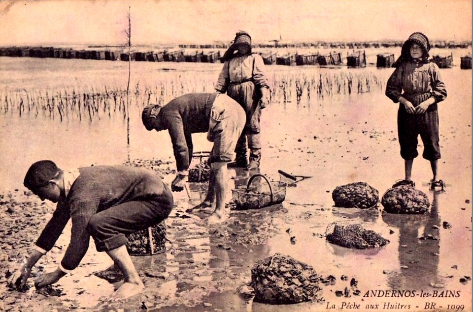 Andernos-les-Bains - Travaux ostréicoles 4