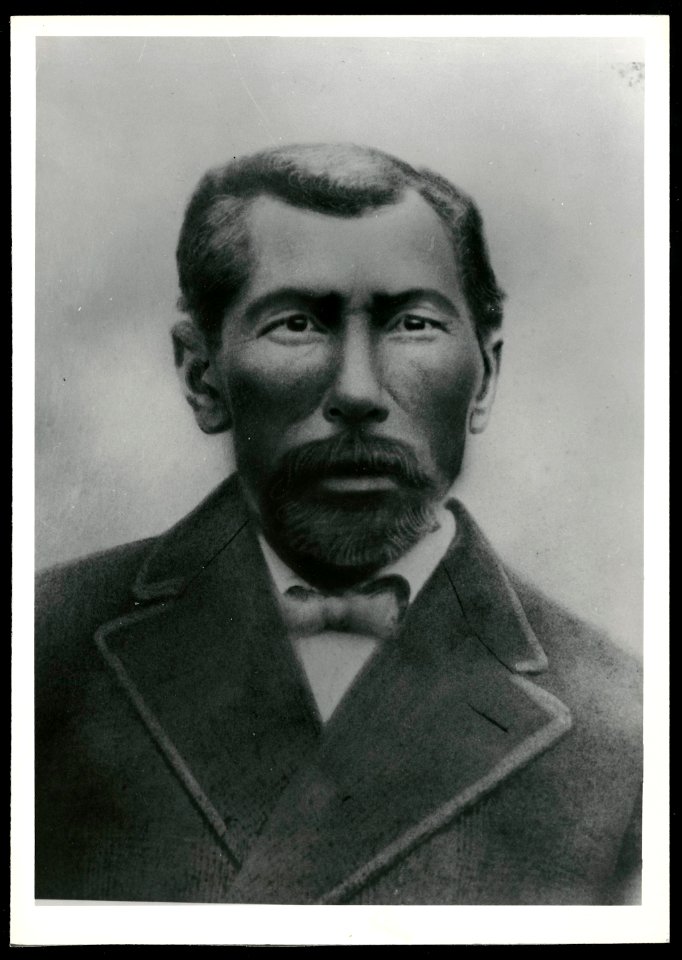 Anderson McCauley, Rosa Parks' paternal grandfather LCCN2015650607