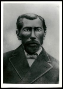 Anderson McCauley, Rosa Parks' paternal grandfather LCCN2015650607