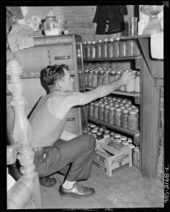 Andrew Broughton with some of the 315 quarts of fruits and vegetables which his wife canned this summer. Fox Ridge... - NARA - 541153