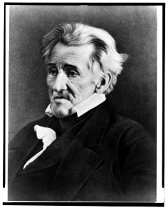 Andrew Jackson, half length portrait, seated, facing left LCCN2014648287