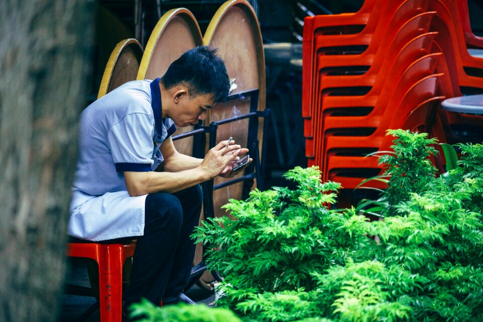 Cigarette leaves green