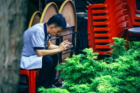 Cigarette leaves green photo