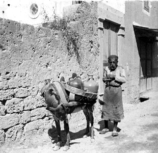 Ane et vieil homme