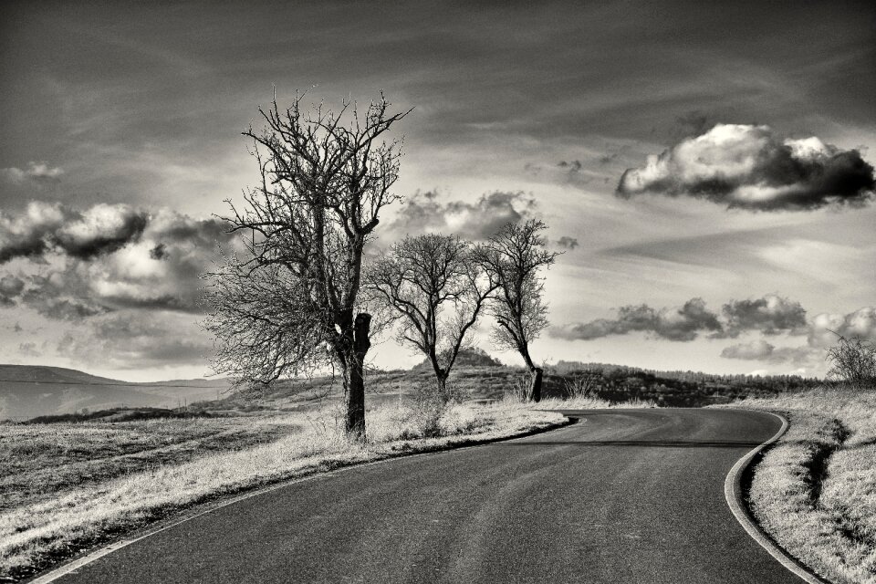 Road heaven dry tree photo