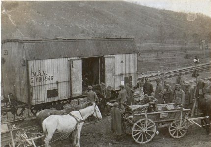 Angekommenes Gefrierfleisch bei der Verpflegsfassungsstelle in Batuje wird verladen (BildID 15596769)