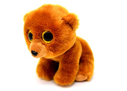Soft toy teddy cute