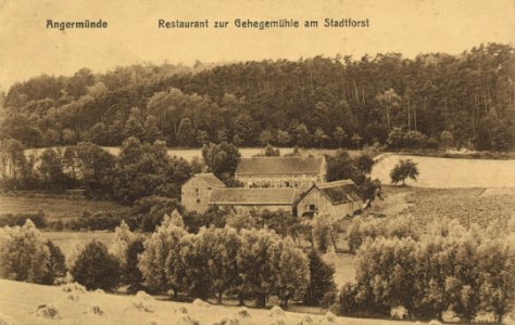 Angermünde, Brandenburg - Restaurant Zur Gehegemühle am Stadtforst (Zeno Ansichtskarten)
