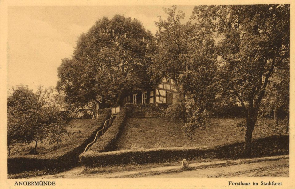 Angermünde, Brandenburg - Forsthaus im Stadtforst (Zeno Ansichtskarten)