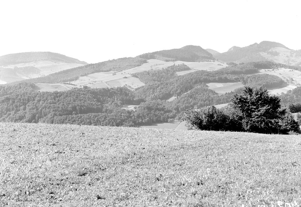 Angriffsfeld Mittelabschnitt Hauenstein Nordfront - CH-BAR - 3237602