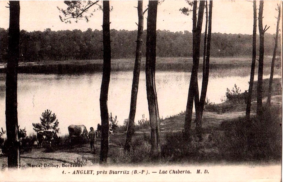 Anglet (64) - Lac Chiberta