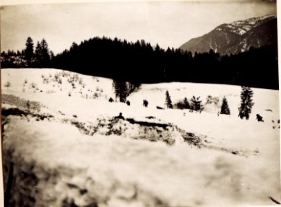 Angriff auf den Maschinengewehrstand. 22-2.1917. (BildID 15497018)