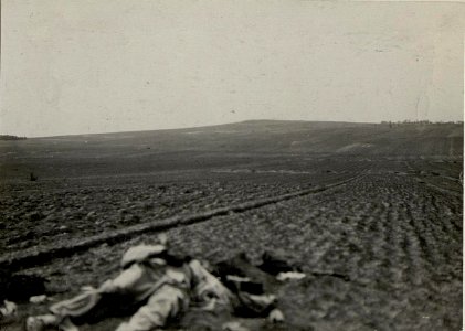 Angriffsfeld der Kopaljäger östl.Kotovice im Vordergr.Leichen (BildID 15537654)