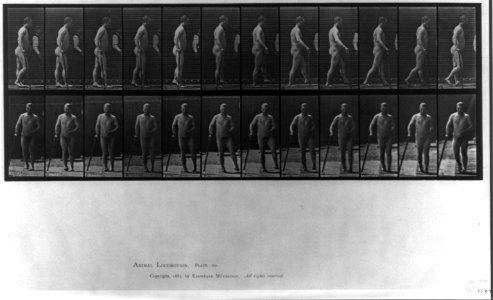 Animal Locomotion - side and rear views of man walking with cane (pl. 552) LCCN2005697040