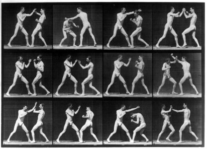 Animal locomotion LCCN2002706369