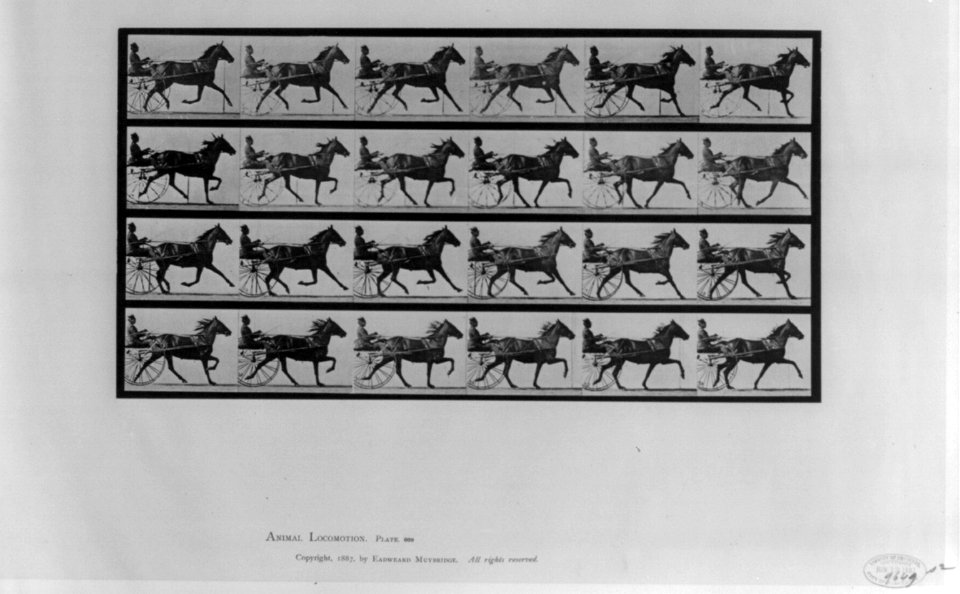 Animal Locomotion LCCN2003677250