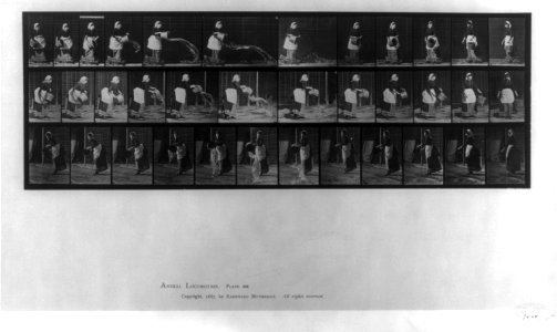 Animal Locomotion. Motion-picture frames- 3 sequences of woman pitching pail of water LCCN2006682505