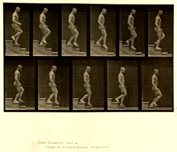 Animal locomotion. Plate 126 (Boston Public Library)