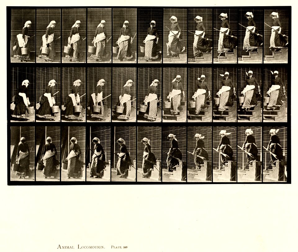Animal locomotion. Plate 148 (Boston Public Library)
