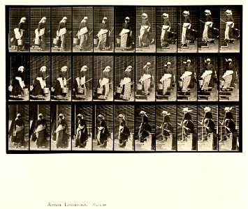 Animal locomotion. Plate 148 (Boston Public Library)