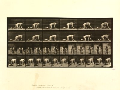 Animal locomotion Plate 182
