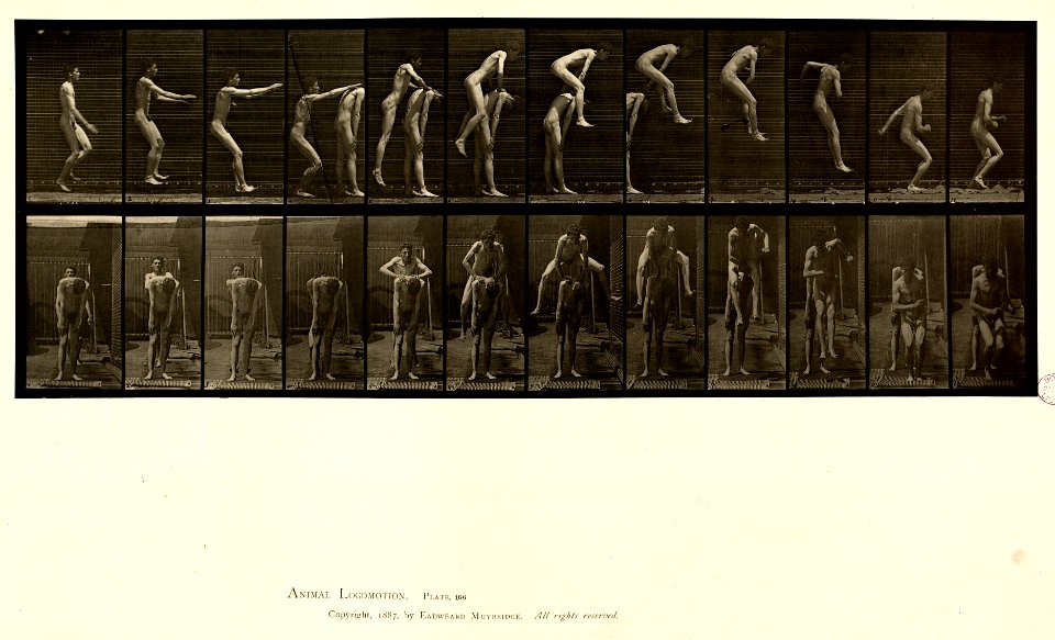 Animal locomotion. Plate 166 (Boston Public Library)
