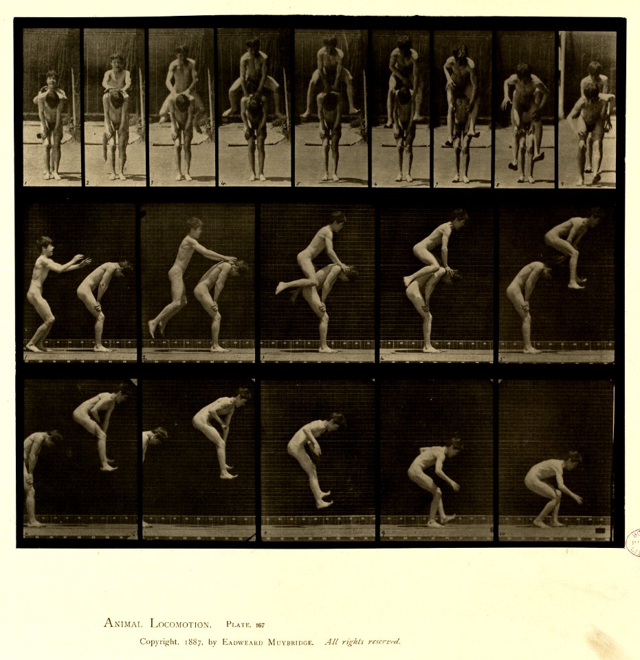 Animal locomotion. Plate 167 (Boston Public Library)