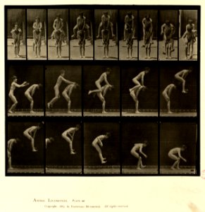 Animal locomotion. Plate 167 (Boston Public Library)