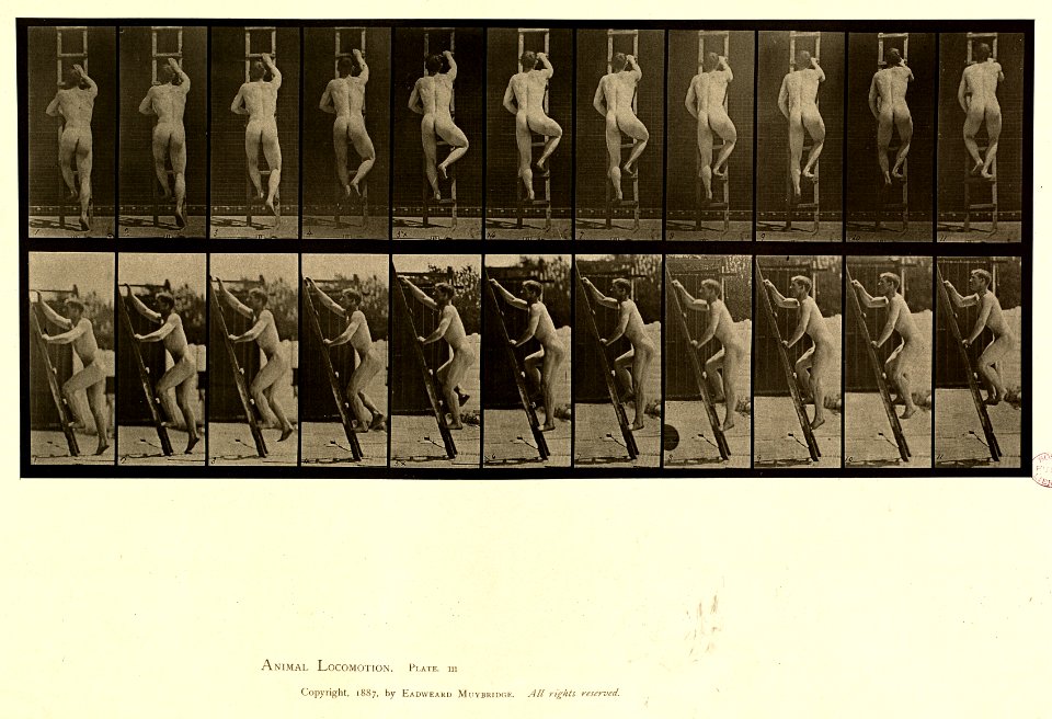 Animal locomotion. Plate 111 (Boston Public Library)