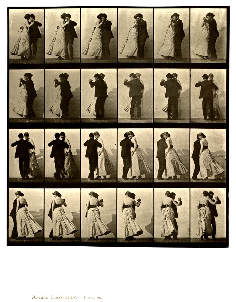 Animal locomotion. Plate 197 (Boston Public Library)