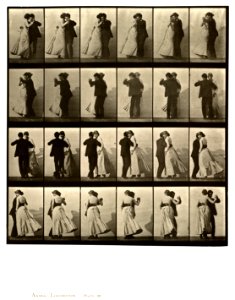 Animal locomotion. Plate 197 (Boston Public Library)