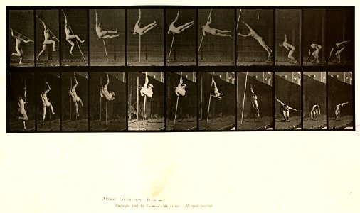 Animal locomotion. Plate 164 (Boston Public Library)