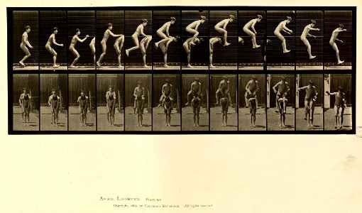 Animal locomotion. Plate 168 (Boston Public Library)
