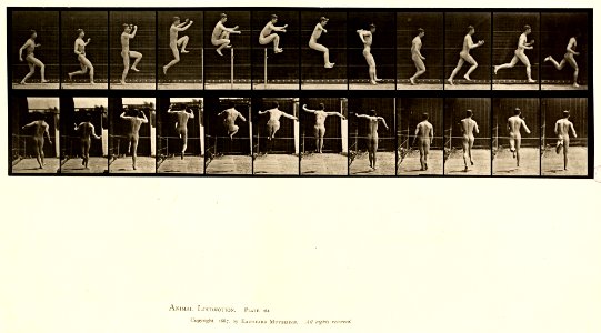 Animal locomotion. Plate 154 (Boston Public Library)
