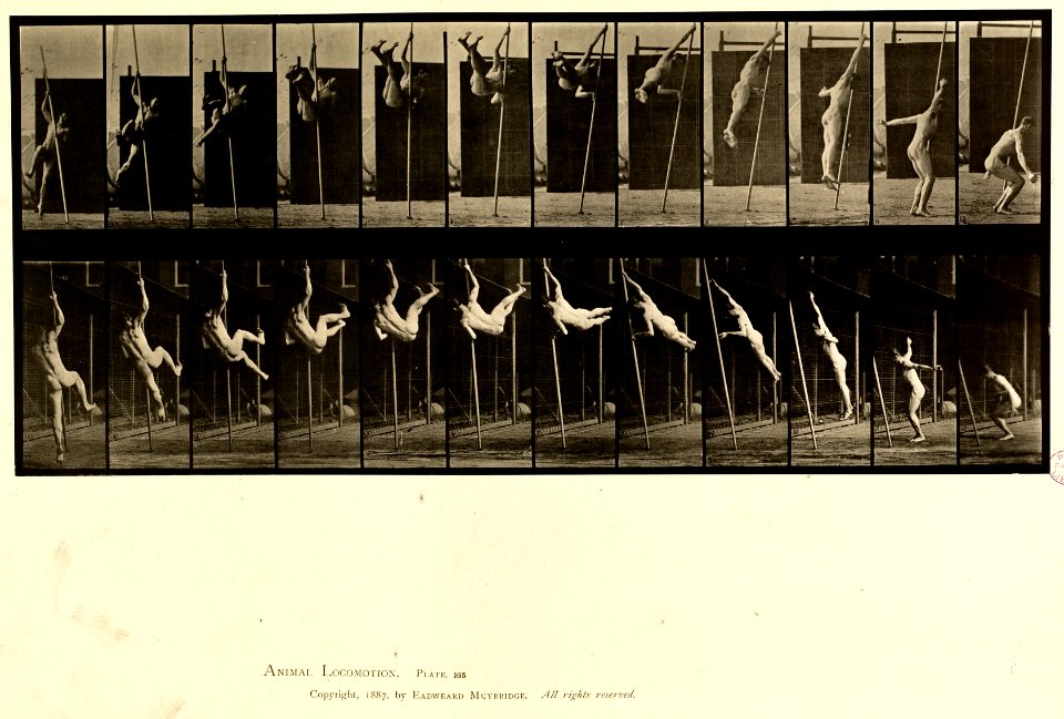 Animal locomotion. Plate 165 (Boston Public Library)