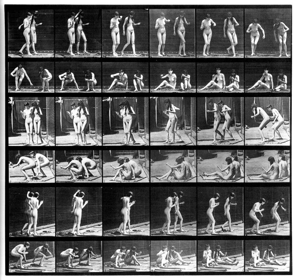 Animal locomotion. Plate 245 (Boston Public Library) (black and white, cropped)