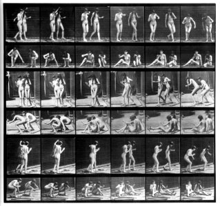 Animal locomotion. Plate 245 (Boston Public Library) (black and white, cropped)