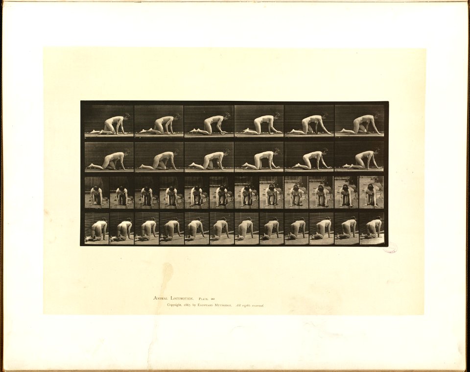 Animal locomotion. Plate 182 (Boston Public Library)