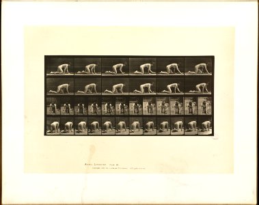 Animal locomotion. Plate 182 (Boston Public Library)