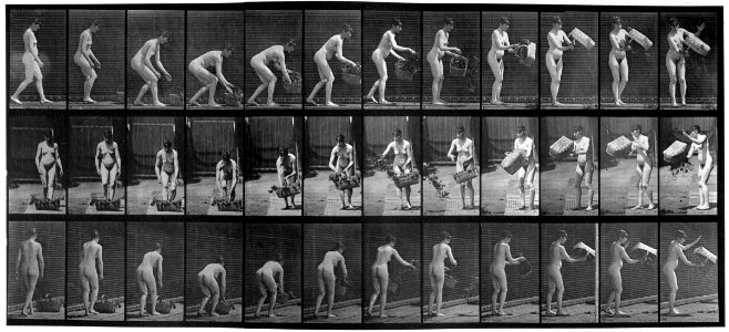 Animal locomotion. Plate 213 (Boston Public Library) (Black and white, cropped)