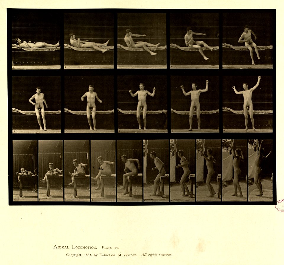 Animal locomotion. Plate 260 (Boston Public Library)