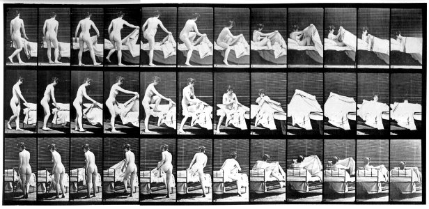 Animal locomotion. Plate 263 (Boston Public Library) (black and white, cropped)