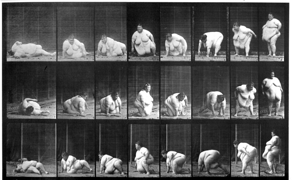 Animal locomotion. Plate 268 (Boston Public Library) (Black and white, cropped)