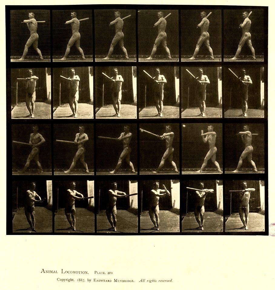 Animal locomotion. Plate 274 (Boston Public Library)